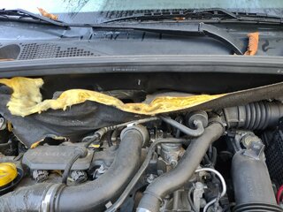 IMG_20220912_080841619.jpg