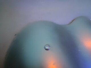 IMG_20220914_200504.jpg