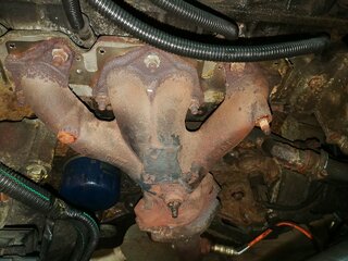 IMG_20221003_100353.jpg