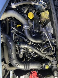 72D357CF-4E9E-4293-925E-FD24314E1F82.jpeg