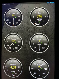 349DD6BC-2A00-4D09-AF07-0CC0555A9A58.jpeg