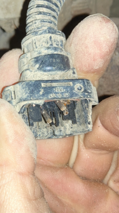 image0.png