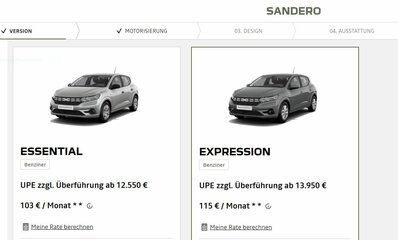 01032023 Sandero.JPG