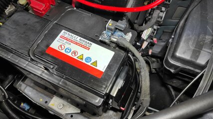 IMG_20230311_151845.jpg