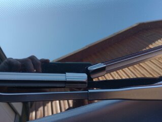 IMG_20230406_141120189.jpg