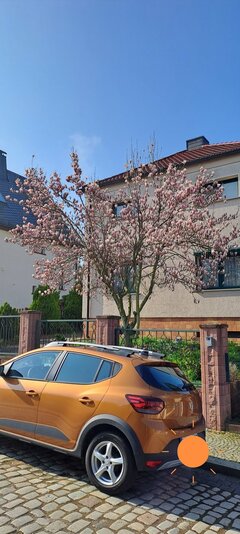 20230409_101229.jpg