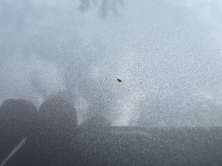 IMG_3735.jpeg