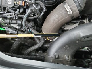 IMG_20230416_102933_4.jpg