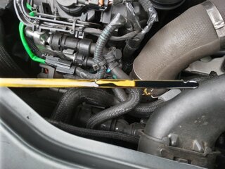 IMG_20230416_102940_4.jpg