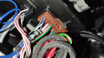 IMG_20230429_195542.jpg