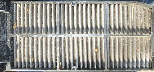 zP1070954.jpg