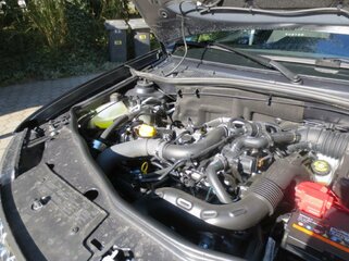 IMG_1485.jpg
