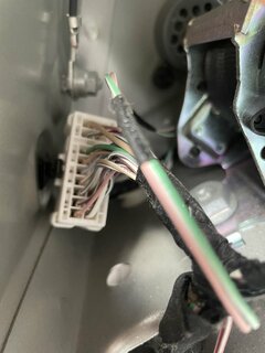 IMG_5848.jpeg