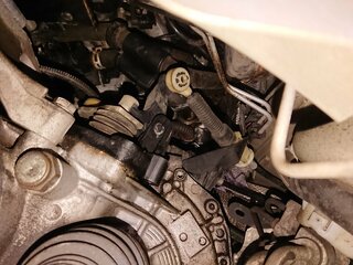 DSC_0239.JPG