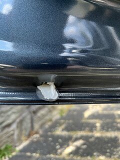 IMG_5468.jpeg