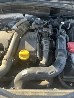 IMG_1631.jpeg