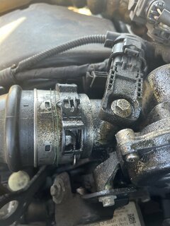 IMG_1634.jpeg