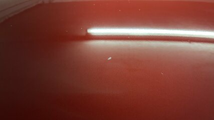 IMG_3308.jpeg