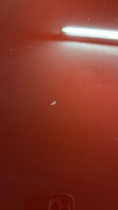 IMG_3310.jpeg