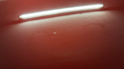 IMG_3307.jpeg