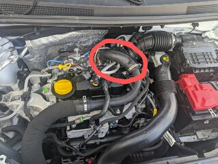 PXL_20230718_145932683~2.jpg