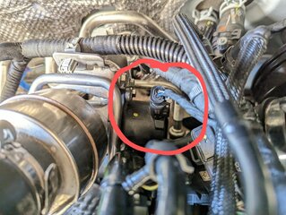PXL_20230816_140855710~2.jpg