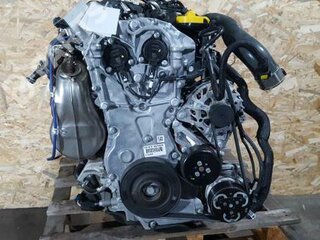SALV1730172121_20201107103856009.jpg