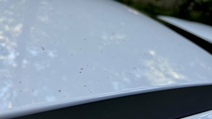 IMG_8952.jpeg