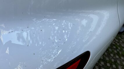 IMG_8953.jpeg