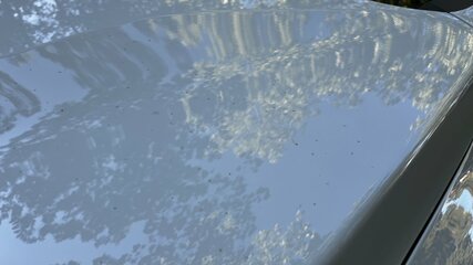 IMG_8955.jpeg