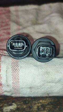 IMG_20230912_123508.jpg