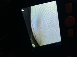 IMG_2299.jpeg