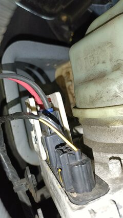 IMG_20231025_110847.jpg