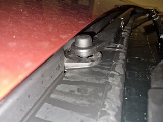20231102_180219.jpg