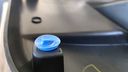 1000026646.jpg