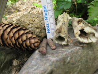 06-Heber-Opfer.jpg