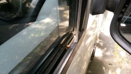 20150608_111528.jpg