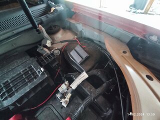 IMG_20240214_135043.jpg