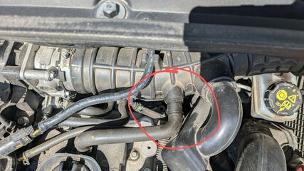 PXL_20240628_113100905~2.jpg