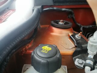 IMG_20240703_172547.jpg