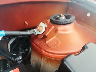 IMG_20240703_172559.jpg