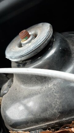 IMG-20240617-WA0001.jpeg