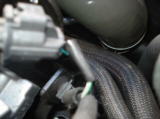 DSC04415.jpg