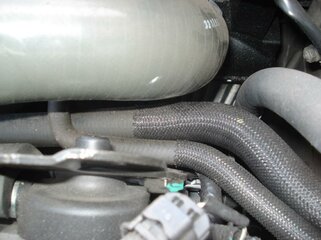 DSC04417.jpg