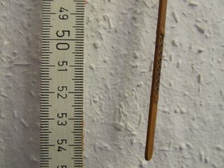 K1024_IMG_5669.JPG