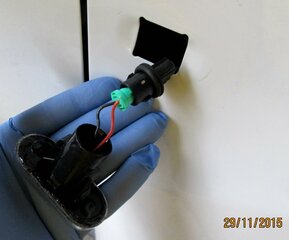 IMG_7269.jpg