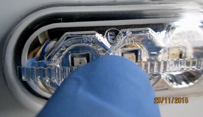 IMG_7284.jpg