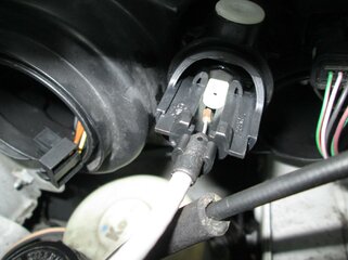 IMG_3269.jpg