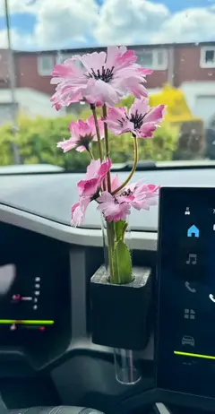 Blume1.webp
