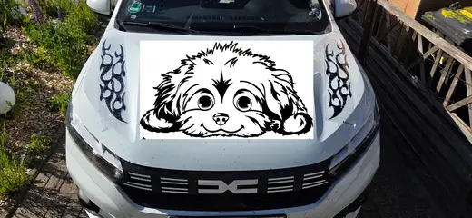 1000013528 - Kopie.webp